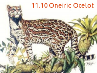 Canonical озвучивает первые данные об Ubuntu 11.10 Oneiric Ocelot