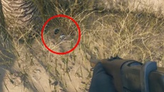 Игроки Battlefield 1 разгадали самую сложную загадку и получили секретный приз