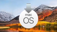 Вышли вторые публичные бета-версии iOS 11 и macOS High Sierra
