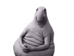 Плату за доступ в украинский интернет поднимают чиновники