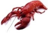 Найдено  снижающее риск развития рака растение