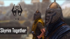 Bethesda помешала выходу кооперативного мода Skyrim Together