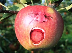 Презентация Apple iPhone 5: прямая трансляция