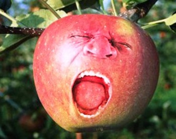 Apple требует  прекратить выпуск ноутбуков конкурента