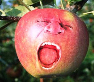 Презентация Apple iPhone 5: прямая трансляция