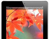 Samsung остается основным поставщиком дисплеев для iPad