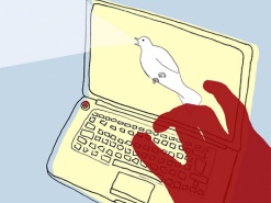 Зачем нам запасной интернет?