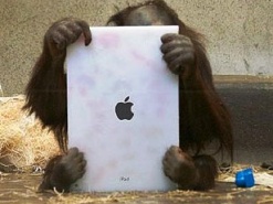 Ридеры пережили экспансию планшетов