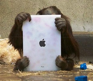 Ридеры пережили экспансию планшетов