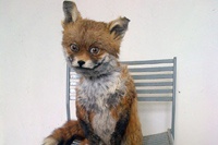Художница не сумела продать «брата» Упоротого лиса