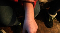 В Глухове 12-летняя школьница прошла 15 уровней "Синего кита"