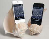 Музыкальная раковина для iPhone (Фото)