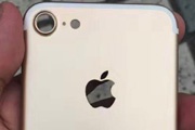 Появился четкий снимок задней панели iPhone 7