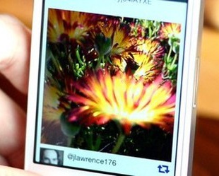 FocusTwist для iOS – изменяет фокус на сделанных фото