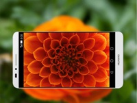 Первые фотографии, полученные на камеру Huawei Honor 6 Plus