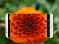 Первые фотографии, полученные на камеру Huawei Honor 6 Plus