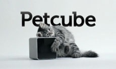 Украинский стартап Petcube собрал на Kickstarter $200 тыс. за 15 дней