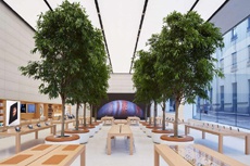 Apple запатентовала деревья