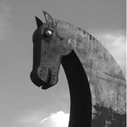 В Сети действует новая версия трояна Zeus