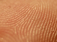 Сканер отпечатков пальцев в Galaxy S5 встроят в кнопку «Домой»