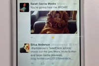 В ленте Twitter появились большие фотографии и предпросмотр роликов Vine