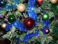 Internet про особенности новогоднего туризма этой зимы