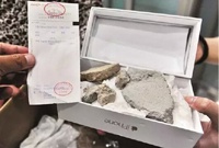 Китаянка вместо iPhone 6 Plus получила груду камней