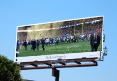 Главу Apple высмеяли за плохое фото на iPhone