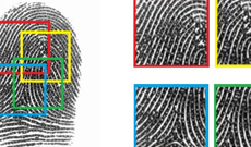 Исследователи научились создавать фальшивые цифровые отпечатки для разблокировки смартфонов