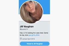 В сети выследили крупнейшую сеть порноботов