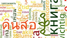 Ученые использовали Google Translate для поиска «общества вины» и «стыда»