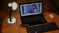 Онлайн порностудию закрыли в Запорожье