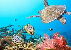 Главное ожидание 2013: Ultra HD