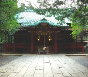 Японцы станцевали «Harlem Shake» в храме