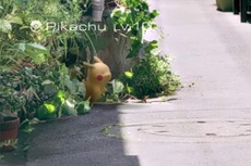 Виртуальных покемонов выпустят в реальный мир