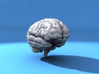 Алкоголь превращает мозг в зону бедствия за 6 минут.