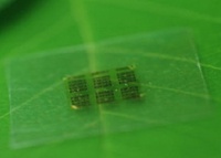 Ученые разработали биоразлагаемый компьютерный чип из древесины