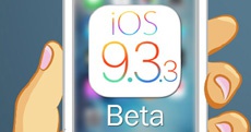 Apple выпустила iOS 9.3.3 beta 3 для iPhone, iPod touch и iPad
