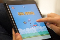 Flappy Bird сумасшествие: iPad Mini с игрой продан на Ebay за $8 тыс.