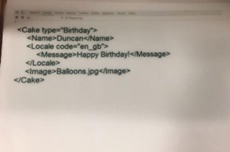 Девушка сделала необычный подарок парню-программисту