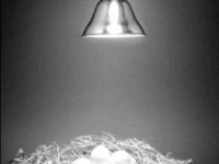 Сегодня  в 14-45 Startup Crash Test 26: Incubate ждёт стартапперов