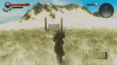 В The Witcher 3: Wild Hunt обнаружили невероятно далеко запрятанный секрет