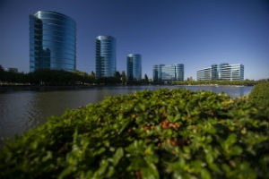 Oracle разочаровала продажами софта