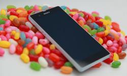 Sony Xperia T и TX оставят без Android 4.3
