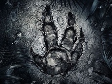 Разработчики Evolve прекратили поддерживать игру