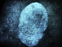 Как может работать датчик отпечатков пальцев в новом iPhone