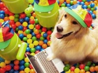 В Великобритании Twitter компании Google один день вела собака