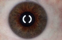 В LG G3 установят биометрический сканер