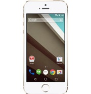 Американский студент запустил Android L на iPhone 5s