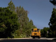 Гимн влюбленности стал хитом в Интернете